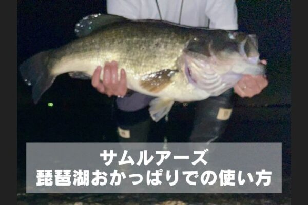 「山崎」「白州」を定価で買う3つの方法+1