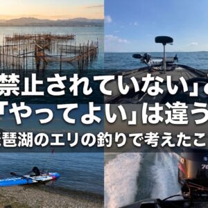 琵琶湖の伝統的漁具『エリ』の杭と網